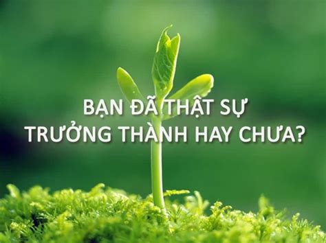  Cân Trọng Lực của Zeferino: Khám Phá Sự Trưởng Thành Qua Hình Ảnh